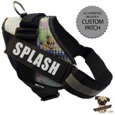 Rigadoo Dog Harness - Splash