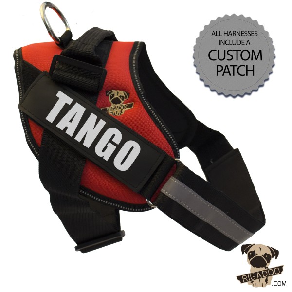 Rigadoo Dog Harness - Tango